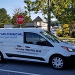 Mold Removal
