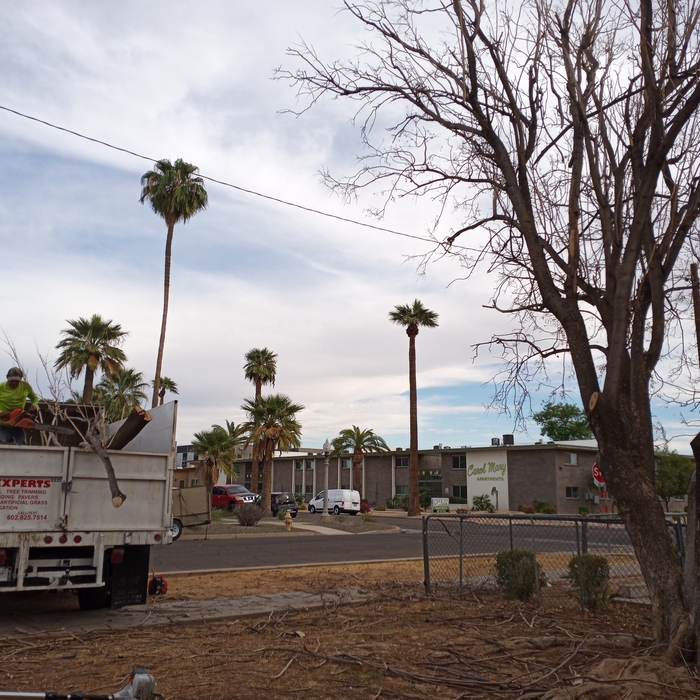Additional Photos