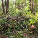 Tree Service Project
