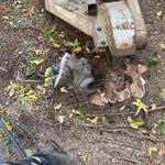 Stump Grinding