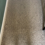 Carpet patch
★ ★ ★ ★ ★ 5.0 | 11/12/2020
Quality: 5.0
Customer Service: 5.0
Value for Money: 5.0
Review by Nirupa S. in DAVIS, CA
Project: Clean Carpets or Rugs in a Home
I hired Patrick to repair a piece of damaged carpet on the landing of my staircase, where my dog had torn it out. He replaced half of the landing area with new carpet that I provided him with. He did an excellent job and you can hardly see the difference at the seam, except for a slight coloration difference becaus