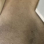 Before cleaning