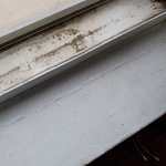 Window sills cleaning