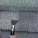 Stair Cleaning, Spot removal, and our techs.