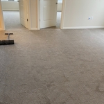 Carpet