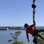 Tree Service Project