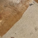 Before and after power washing concrete