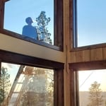 Professionally cleaned Windows!
