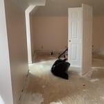Painting - Interior Project