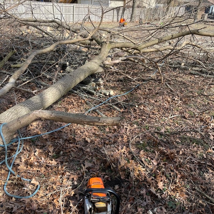 Tree Service Project