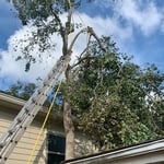 Process of removal