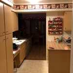 Carol and Mark Haavisto kitchen