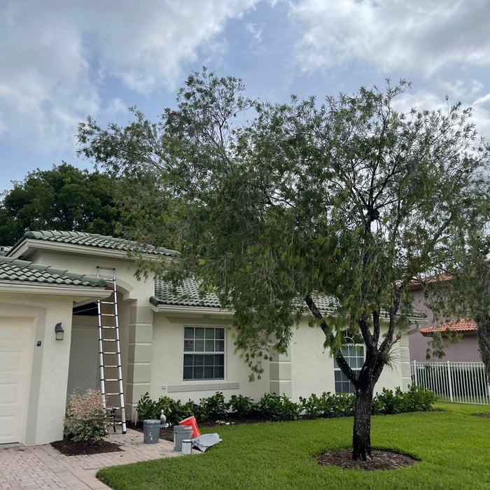 Painting - Exterior Project