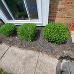 Additional Photos
