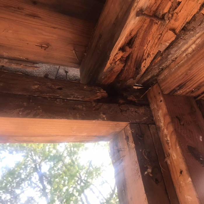 Demo ,rebuild exterior bearing wall for upstairs apartment