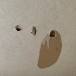 Handyman project
