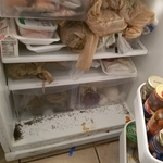 Housecleaning Project