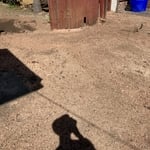 Tree Removal