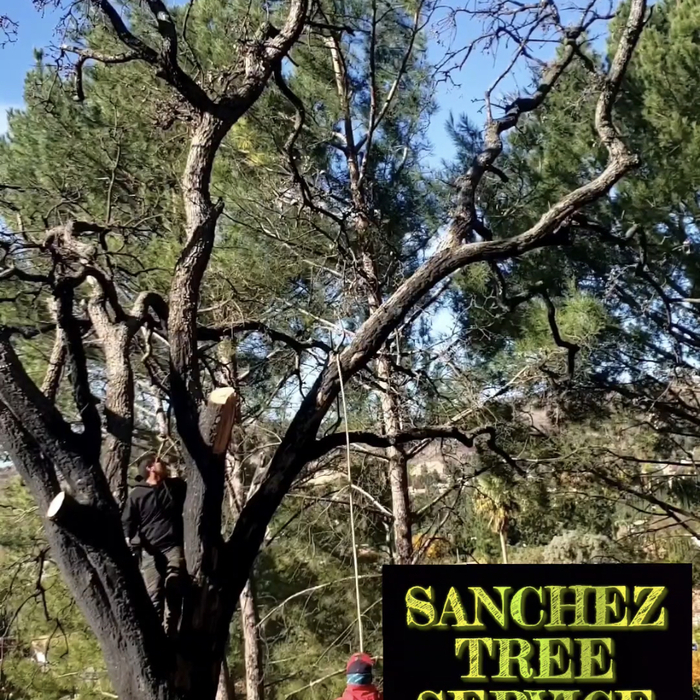 Tree Service Project