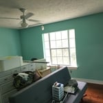 Sheshed channge color