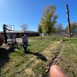 Tree Removal