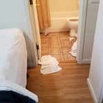 Before picture