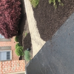 Landscaping Project