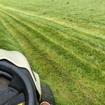 My yard