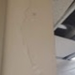 WATER DAMAGE