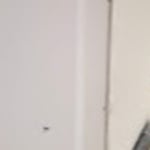 sheetrock was placed and finishing drywall