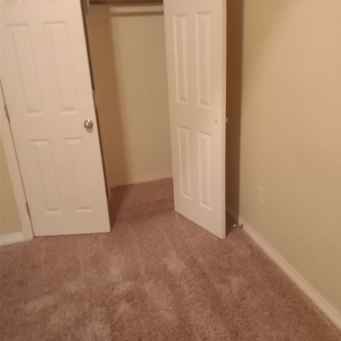 Carpet Cleaning Project