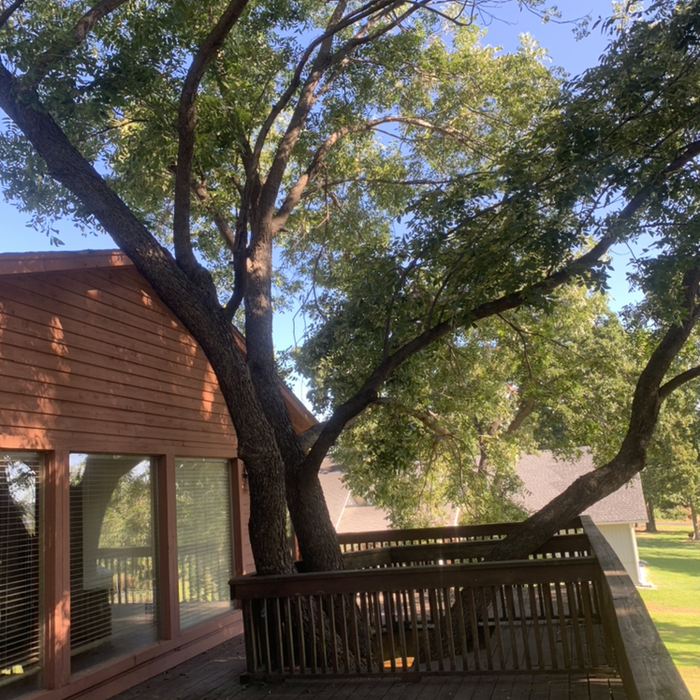 Additional Photos