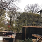 Tree Service Project