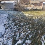 Tree Service Project