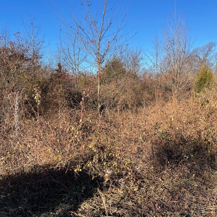 Land clearing