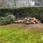 Tree Service Project