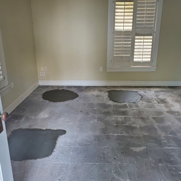 Additional Photos