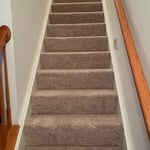 Carpet