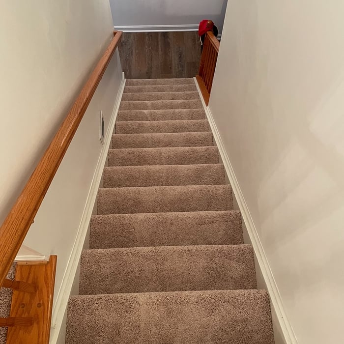 Carpet