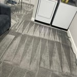 Carpet Cleaning Project