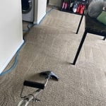 Carpet Cleaning Project