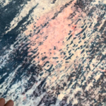 Carpet Cleaning Project