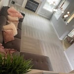 Carpet Cleaning Project