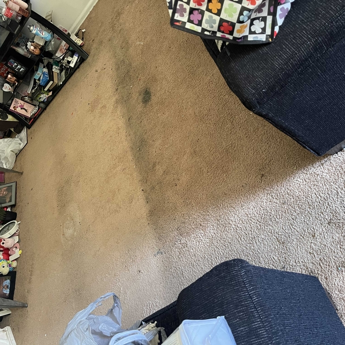 Carpet Cleaning Project