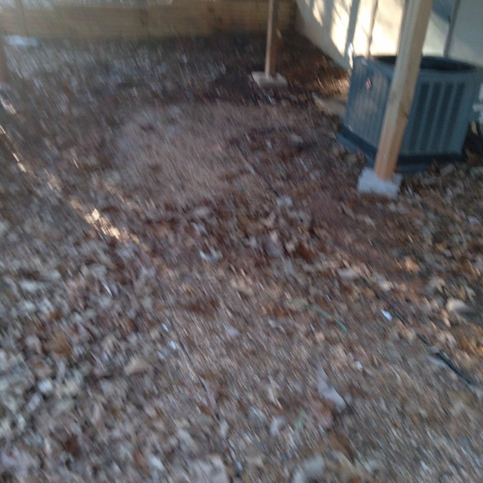 Additional Photos