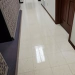 Floor Cleaning/Polishing/Waxing Project
