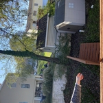 Tree Service Project
