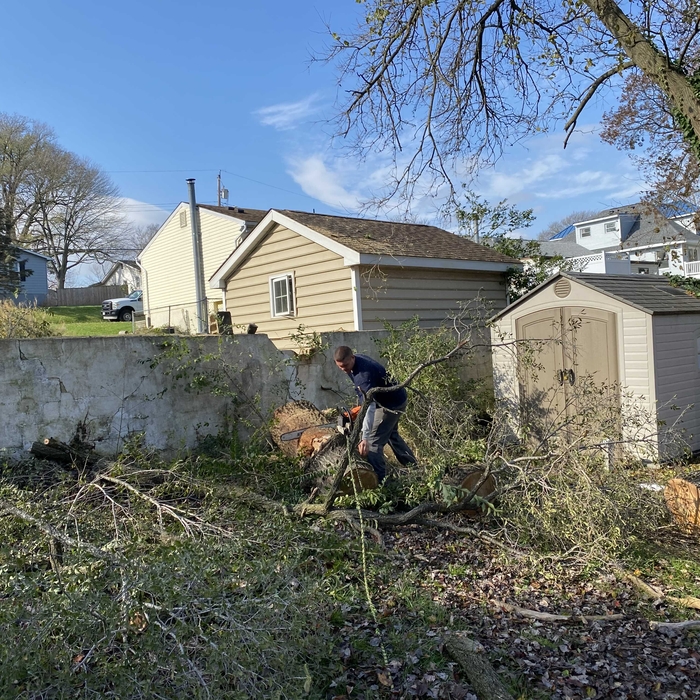 Tree Service Project
