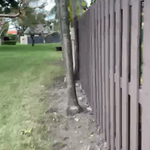 Fencing job