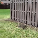 Fencing job